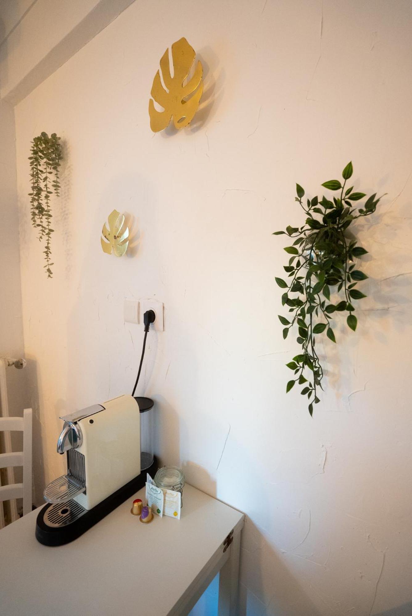 Location Studio Avec Loggia Lejlighed Antibes Eksteriør billede